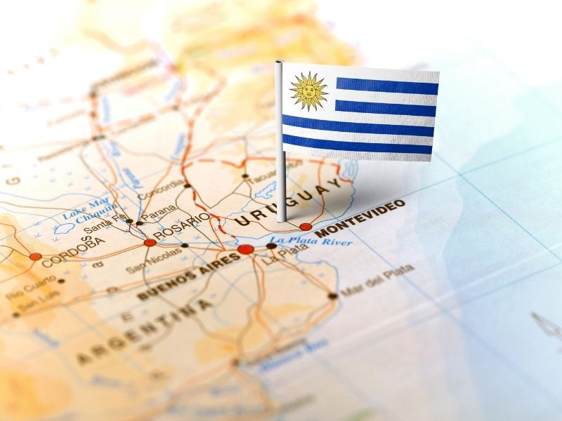 Mapa Uruguay pellet alfalfa