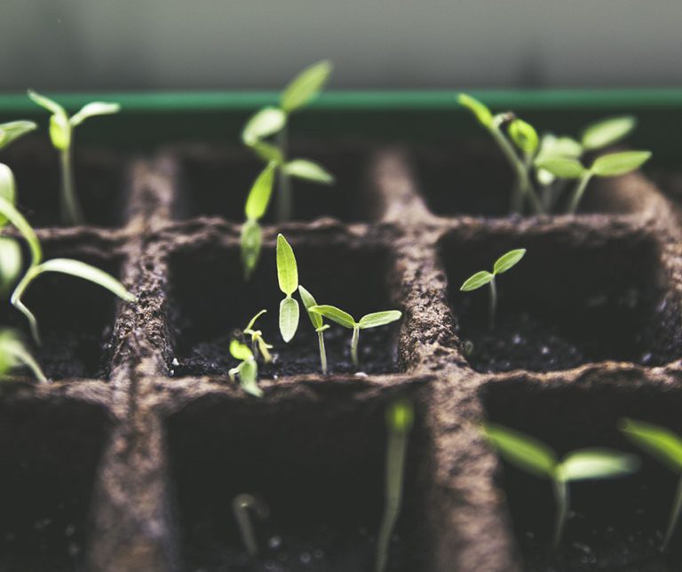 MAKIPURA Internacional Paraguay
