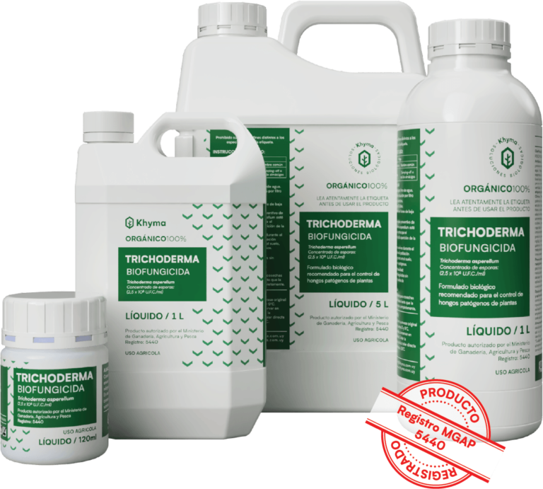 Trichoderma KHYMA