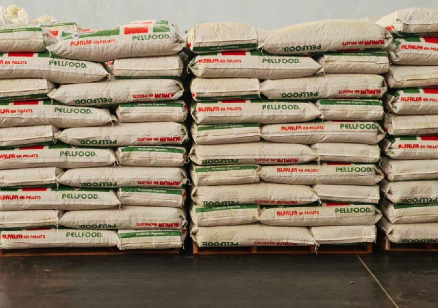 Pallets de bolsas de pellet de alfalfa Pellfood apiladas en el depósito